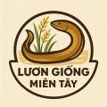 Lươn Giống Miền Tây